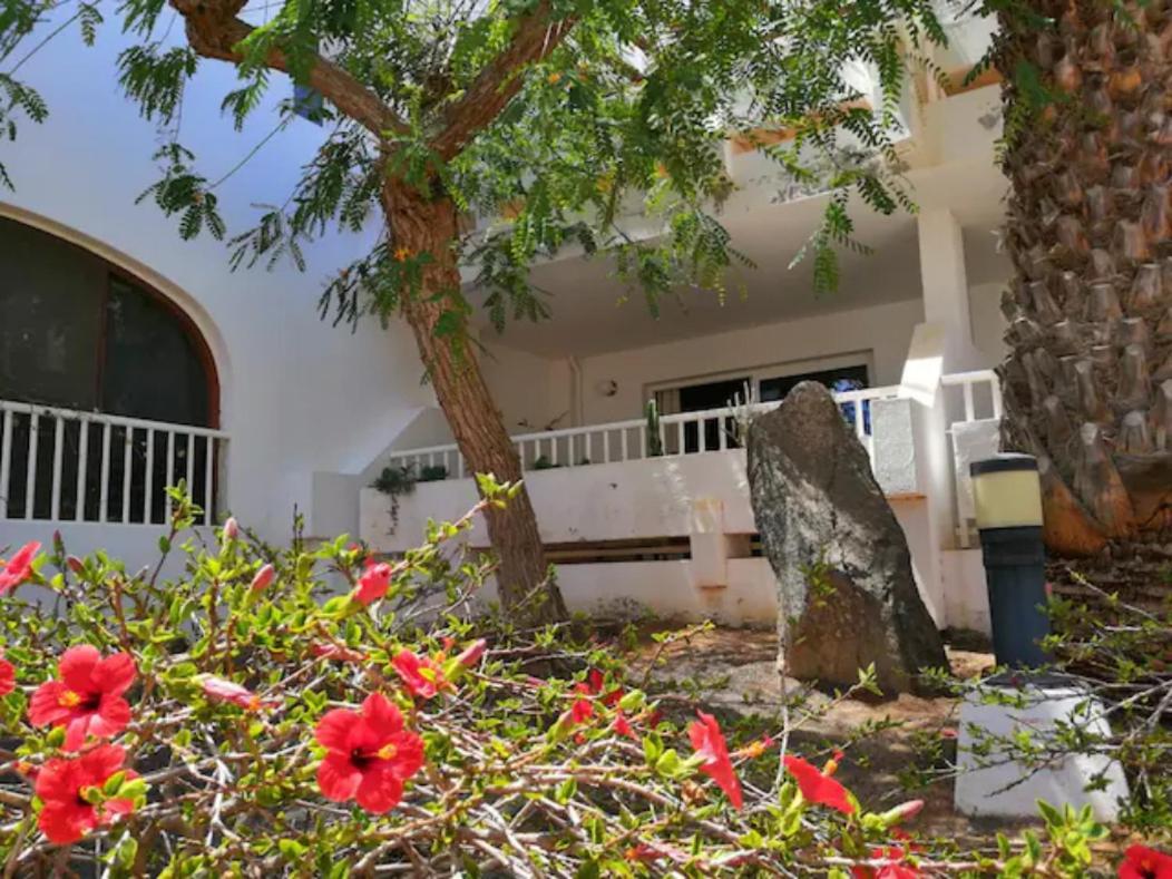 Comfortable Cleo Apartment With Large Terrace Коста Тегисе Екстериор снимка